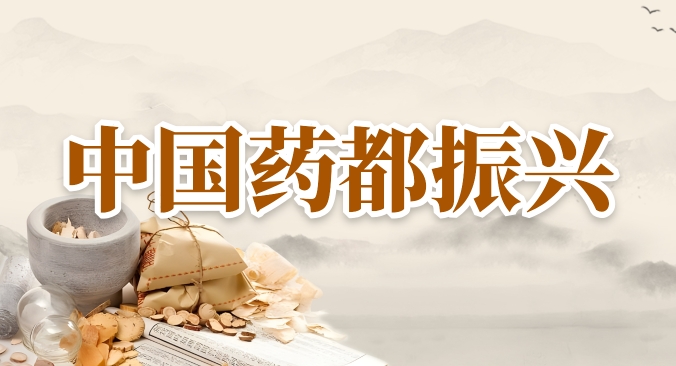 中國藥都振興
